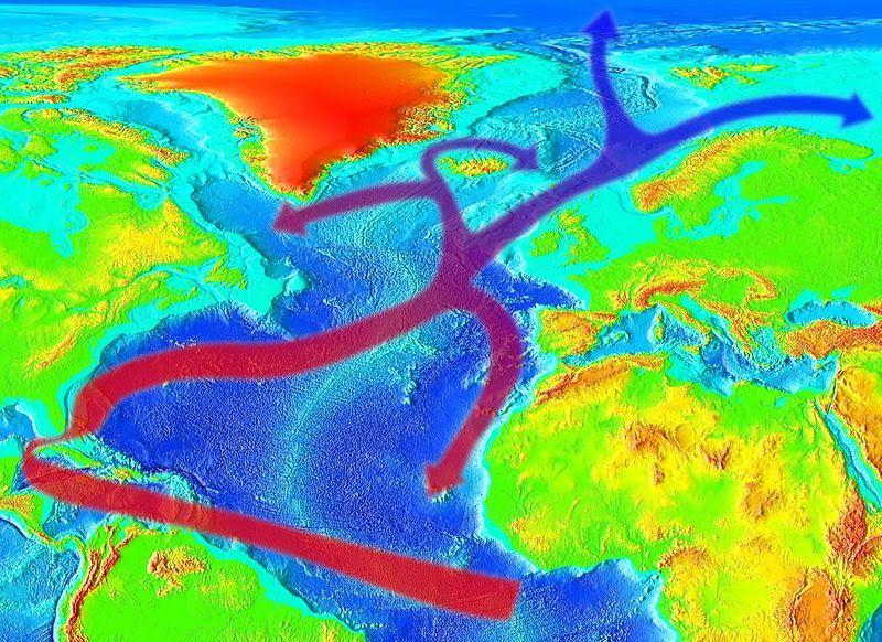 What Is Thermohaline Circulation Windy app